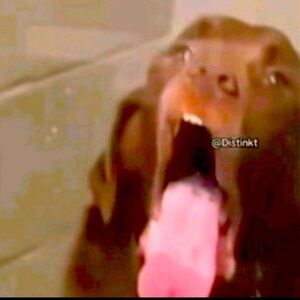 Meet your Posher, Keaton